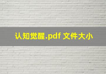 认知觉醒.pdf 文件大小